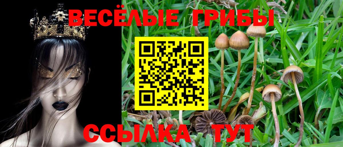 Галлюциногенные грибы GOLDEN TEACHER  Вход с VPN  Галлюциногенные грибы прущие грибы  Искитим 