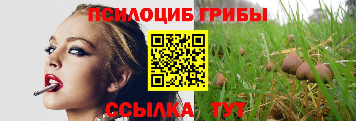 Галлюциногенные грибы MAGIC MUSHROOMS Искитим
